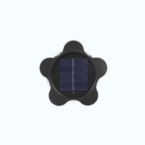 star solar light_0000_3.jpg