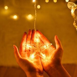 Festoon String Light Fairy Christmas 20226.jpg